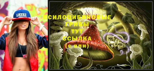 бошки Алзамай