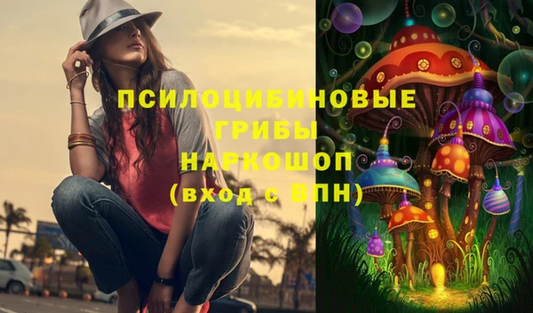 бошки Алзамай
