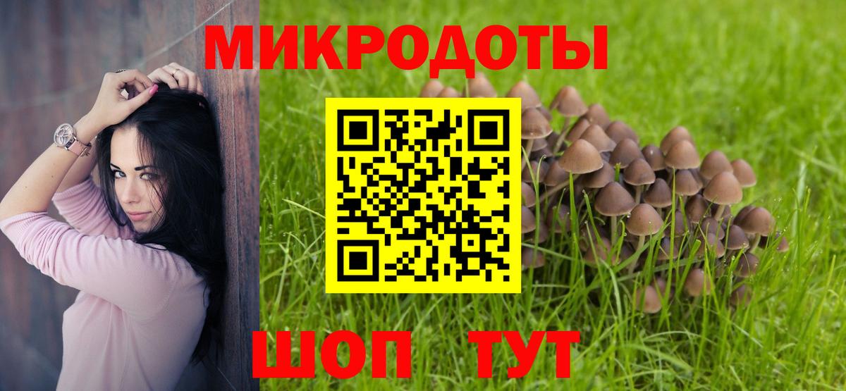 Псилоцибиновые грибы Psilocybine cubensis Павловский Посад
